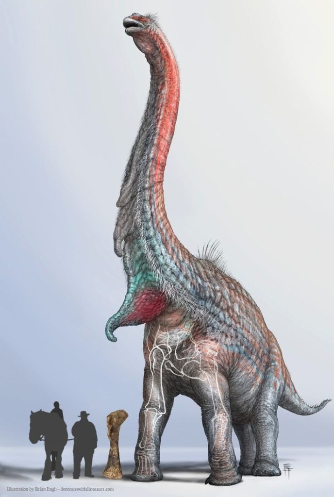 Sauropod