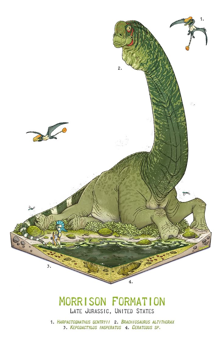 Brachiosaurus