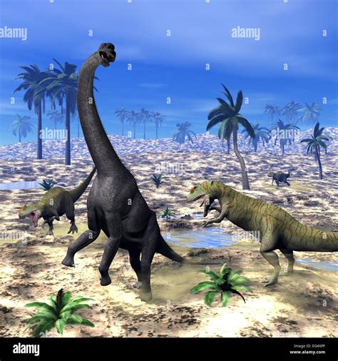 Defense and Predation