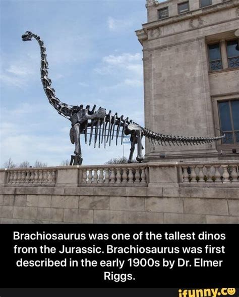 Discovery and Classification