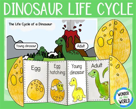 Growth and Life Cycle