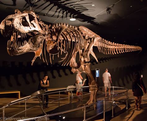 Extinction and Legacy