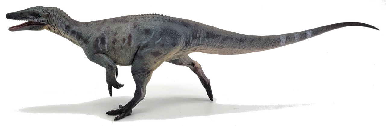 Megaraptor a jurassic giant - Megaraptor Behavior
