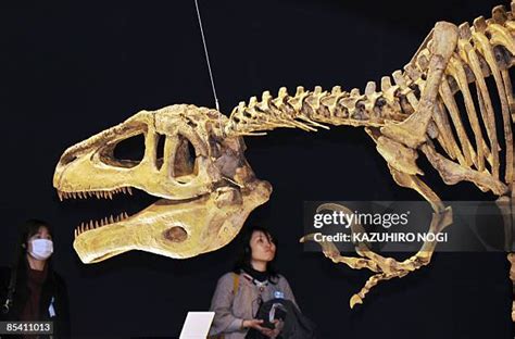 Megaraptor in Popular Culture and Education