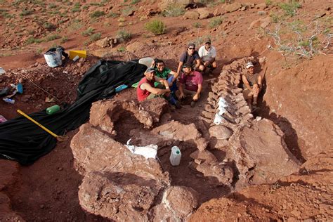 Discovery and Excavation of Chubutisaurus