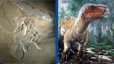 Research History and Recent Discoveries