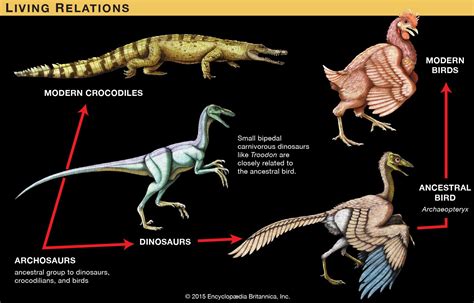 Extinction and Evolutionary Legacy