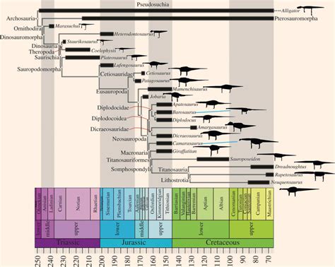 Evolutionary Significance