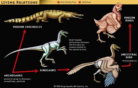 Social Behavior and Reproduction