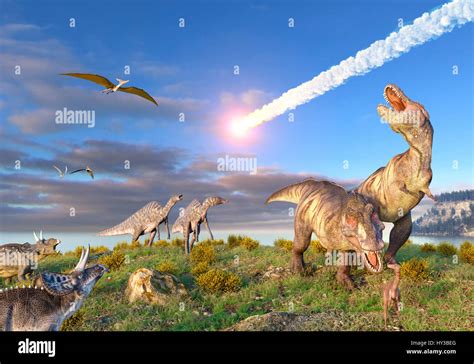 Extinction and Legacy in Earth's History
