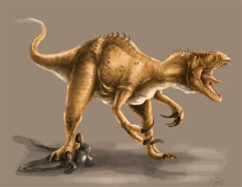 Megaraptor