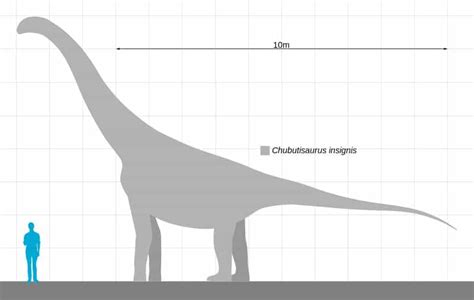Paleoenvironment and Diet