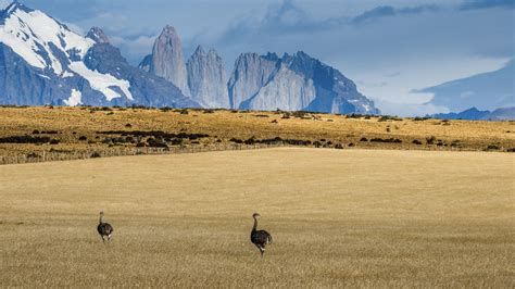 Conservation Challenges and Sustainable Tourism
