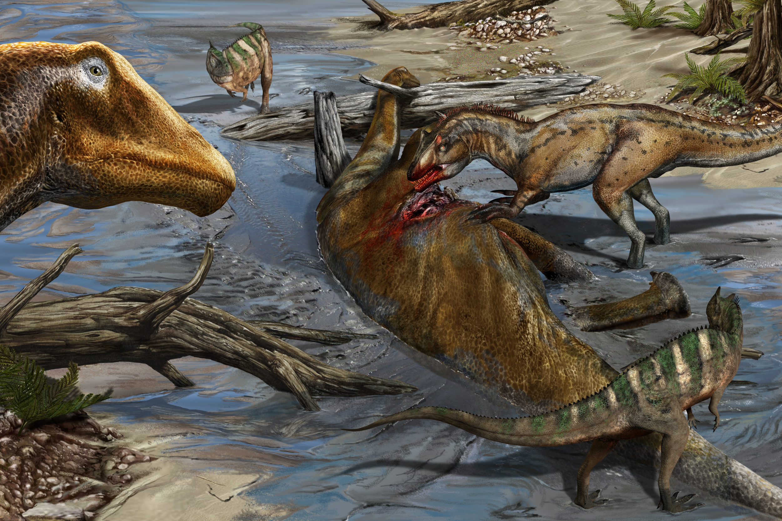 Chubutisaurus - Feeding Behavior and Diet