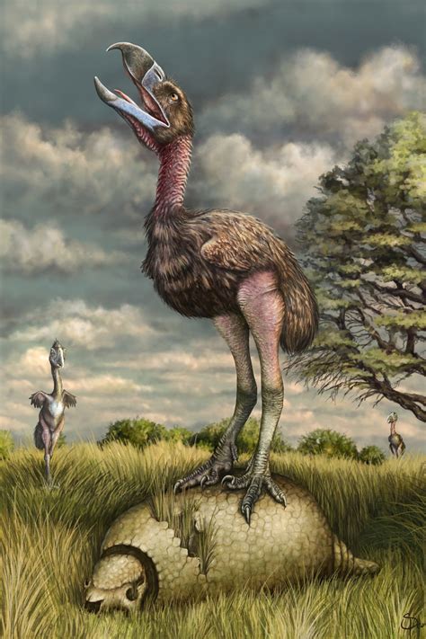 Phorusrhacids: The Terror Birds of South America