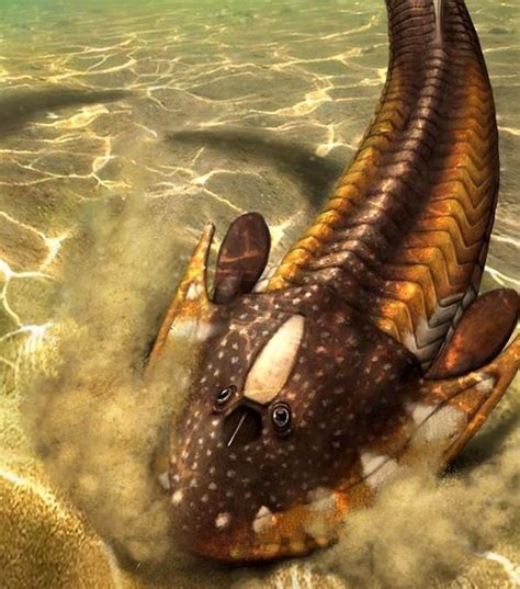The Dawn of Vertebrates: Armored Fish and Early Sharks