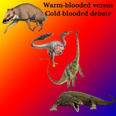 Dinosaur Physiology: Warm-Blooded or Cold-Blooded?