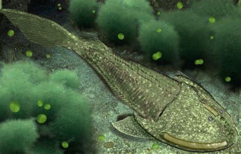 The First Fish-Like Forms (Prevertebrates)