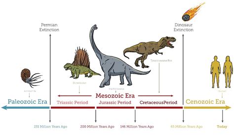 Dinosaur Evolution Through the Mesozoic Era