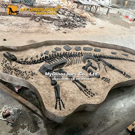 The Dinosaur Ledge: Epicenter of Discovery