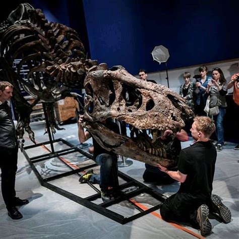 Cleaning and Assembling Skeletons