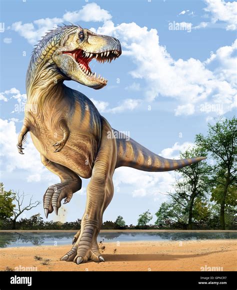 Cretaceous Diversity and Decline