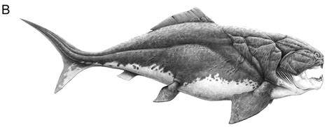The Age of Armored Fishes (Placoderms)