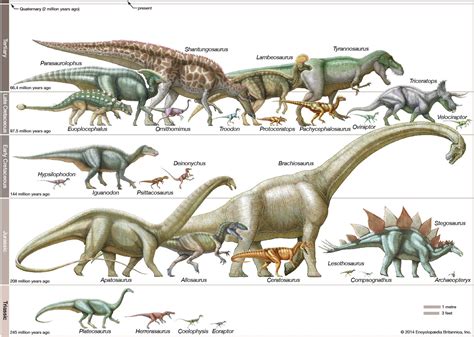 An Enduring Mystery: Why Did Dinosaurs Go Extinct?