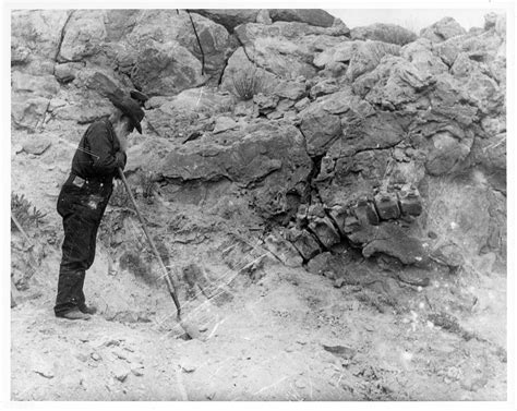 Establishing and Expanding the Quarry