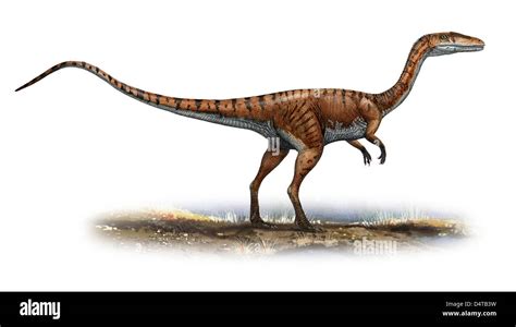 Triassic Beginnings