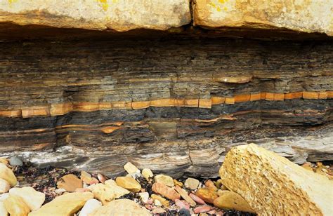 Reading the Rocks: Sandstones, Shales, and Time