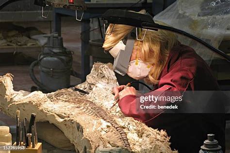 Reconstructing the Past: From Bone Fragments to Living Creatures