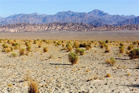Climate and Terrain: A Land of Extremes