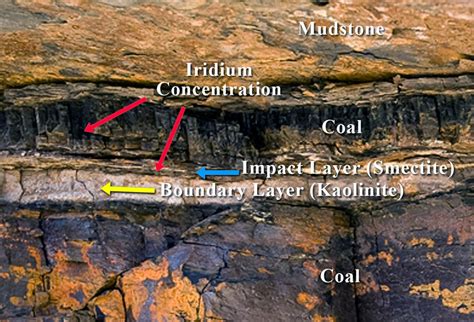 The End-Cretaceous Event (K-Pg Boundary)
