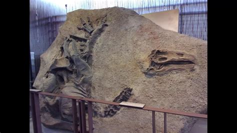 Initial Excavations and Camp Setup