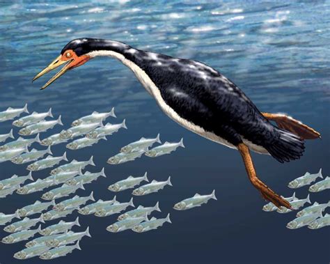 Toothed Birds of the Cretaceous (Hesperornis)