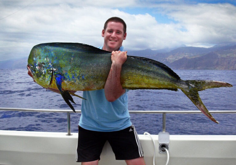Encyclopedia of the Mahi-Mahi (Coryphaena hippurus)