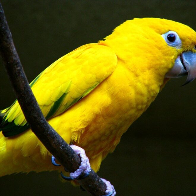 24 Hours in the Rainforest