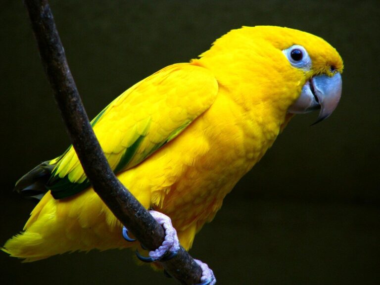 24 Hours in the Rainforest