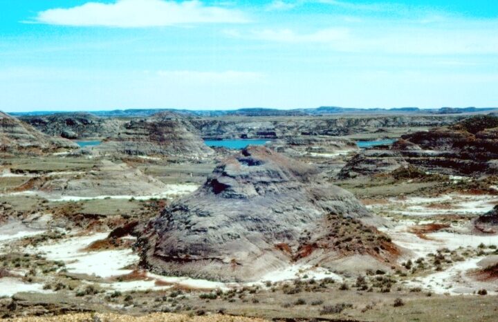 Hell Creek Formation Encyclopedia